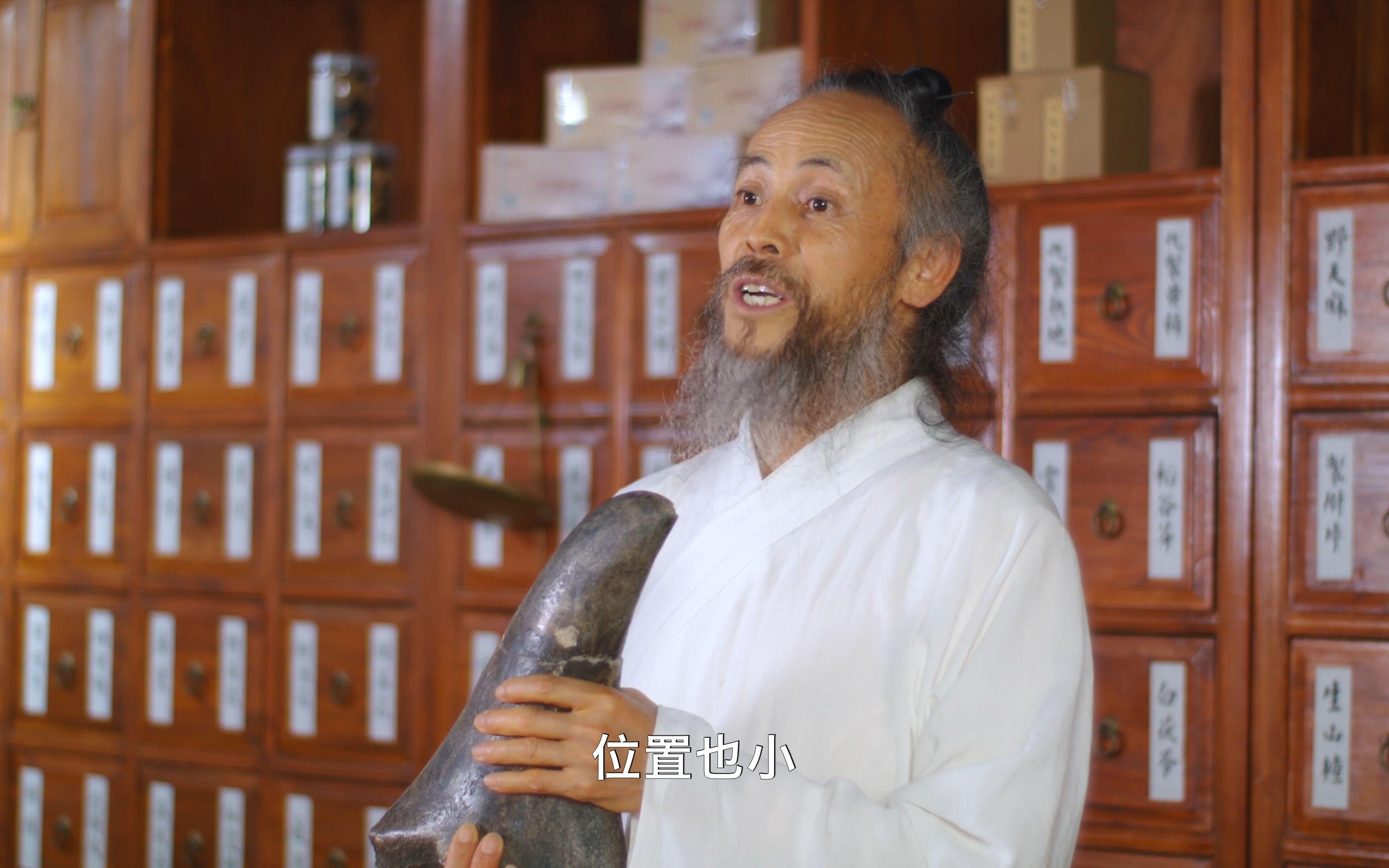 武当道医人感言：以草木为媒，以道心济世